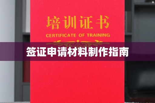 伍家岗签证申请材料制作指南